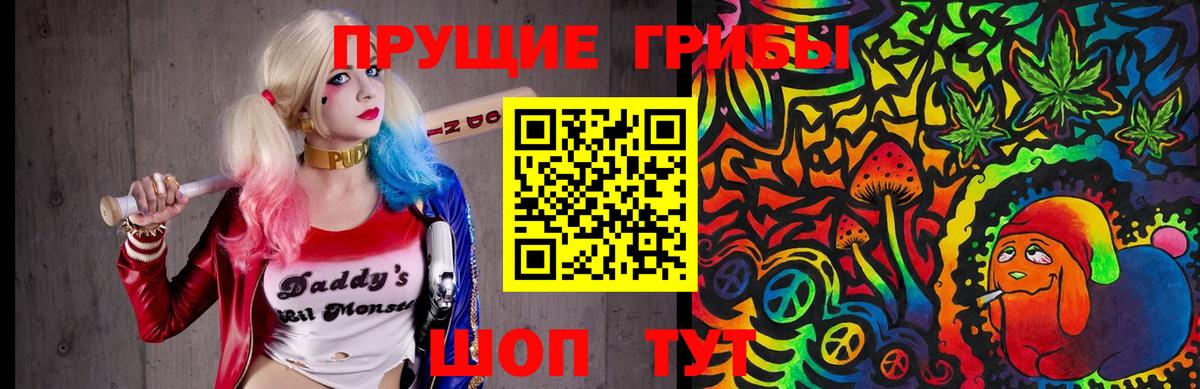 Галлюциногенные грибы Cubensis  Вход с VPN  Батайск  Галлюциногенные грибы MAGIC MUSHROOMS 